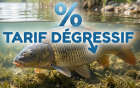 Tarifs dégressifs