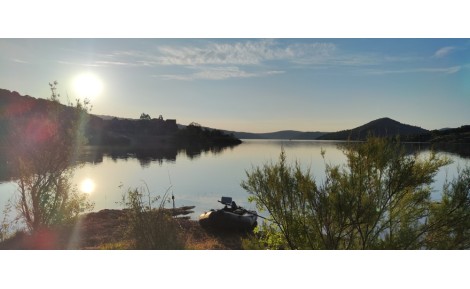 La pêche de la carpe : observation, patience et justesse des appâts