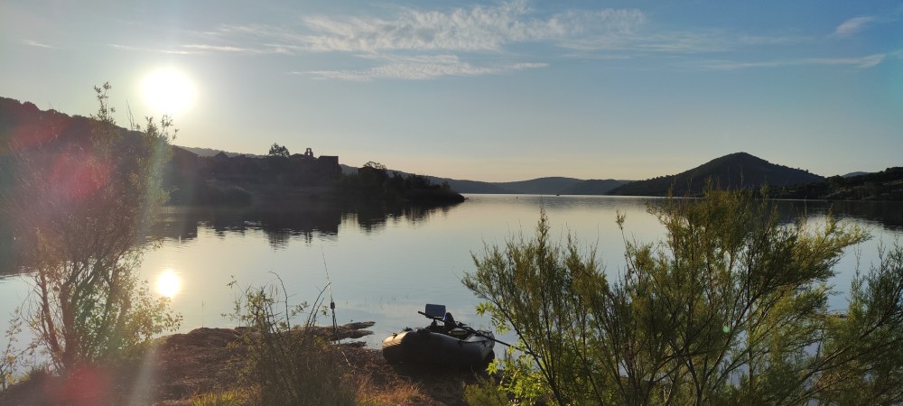La pêche de la carpe : observation, patience et justesse des appâts